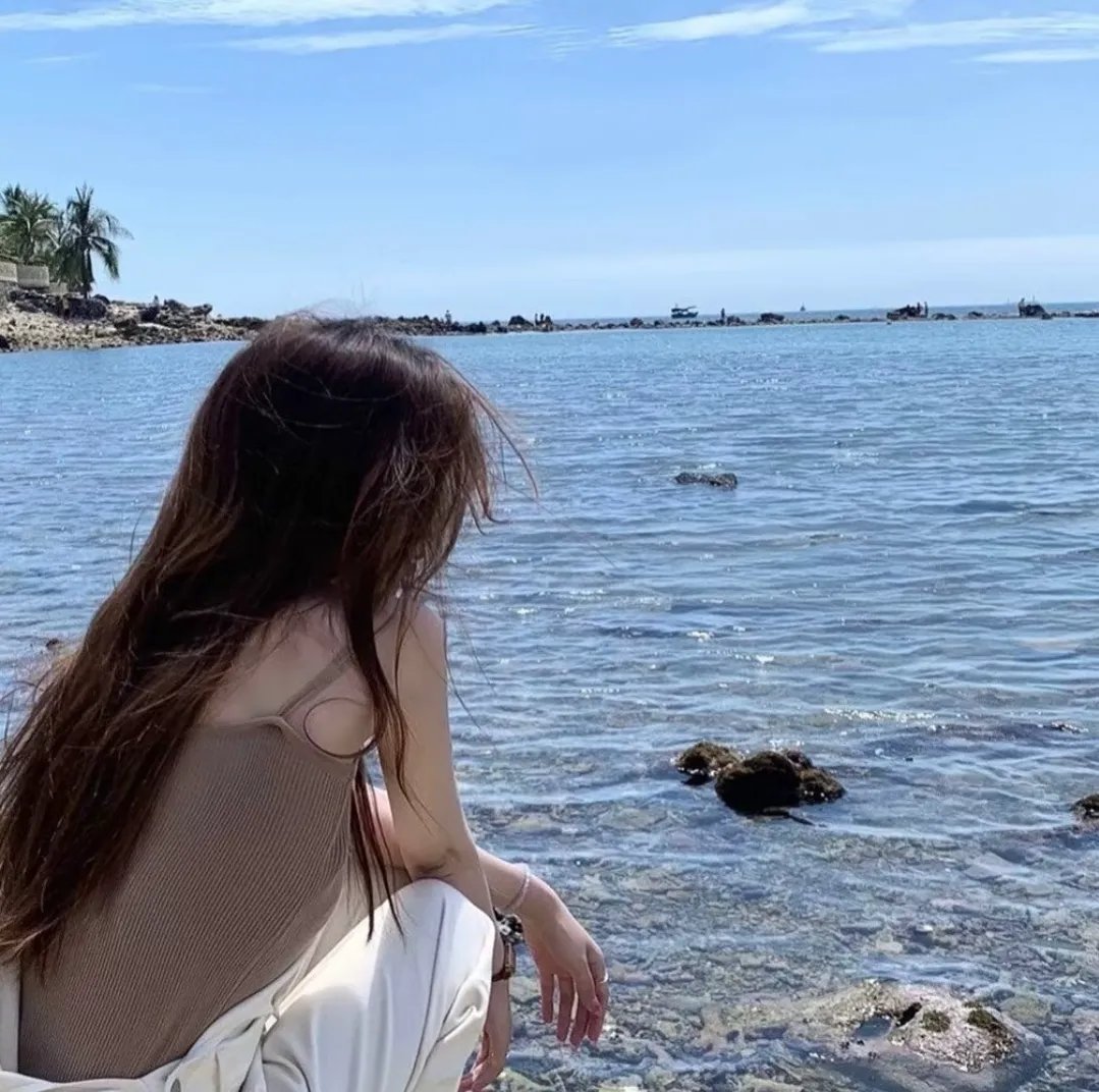 海龟奇妙之旅